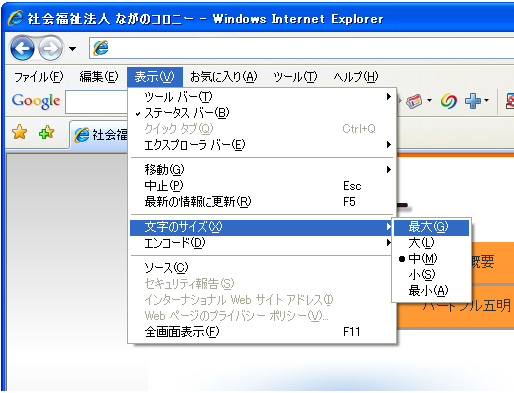 Internet Explorerの場合の図