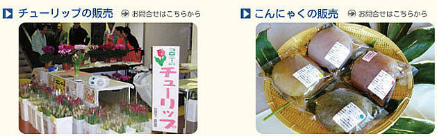 チューリップの画像とこんにゃくの画像