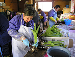 園芸作業